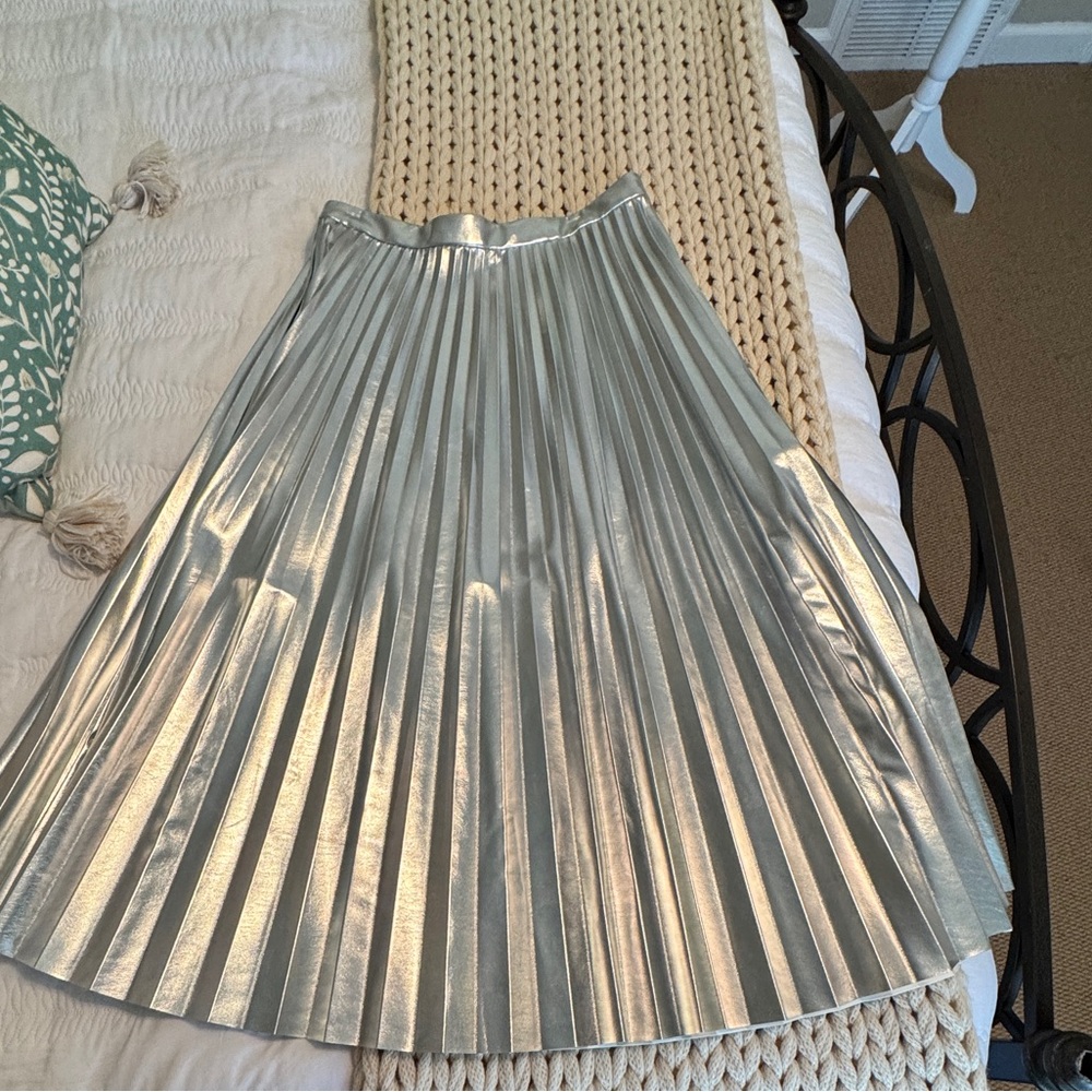 Silver Pleated Women's Skirt from Ann Taylor
Vegan leather